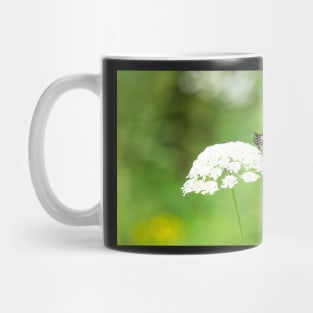 The Monarch on Queen Anne's Lace Mug